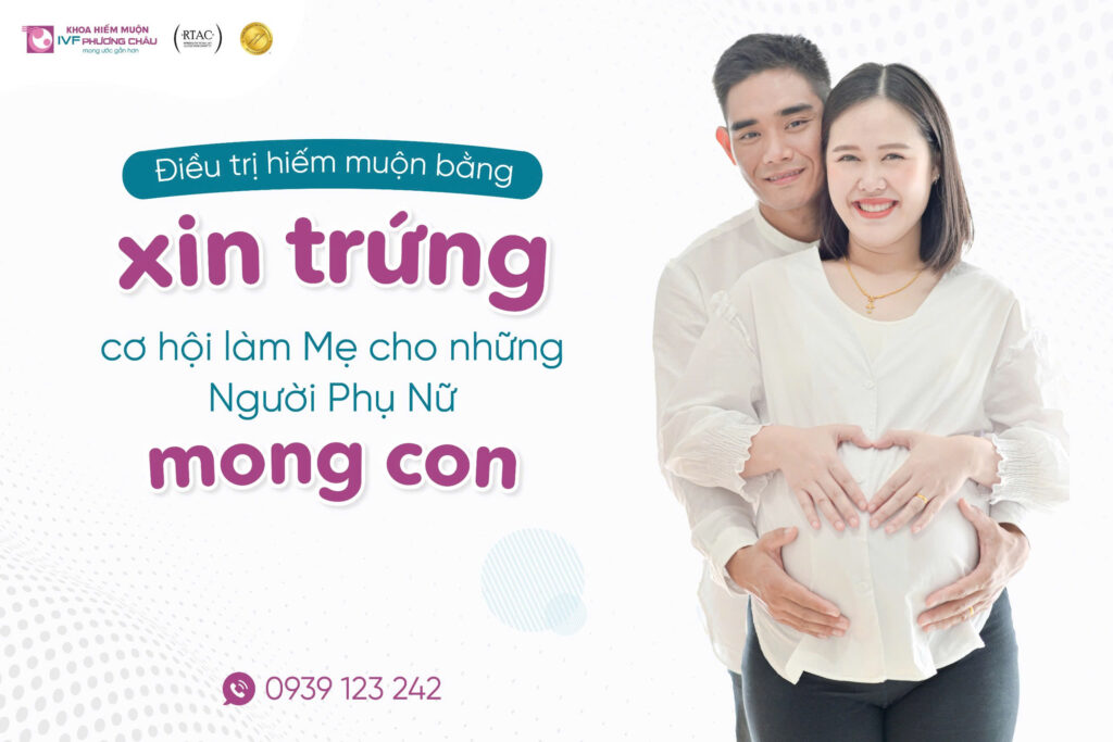 Xin Trứng - Cơ Hội Làm Mẹ Cho Những Người Phụ Nữ Mong Con