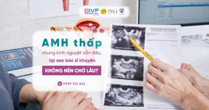 AMH Thấp Nhưng Kinh Nguyệt Vẫn Đều: Có Nên Chờ Thêm?